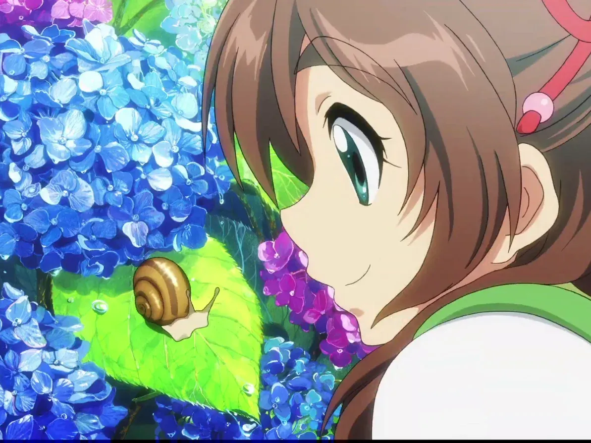 Hydrangea