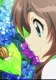 Hydrangea